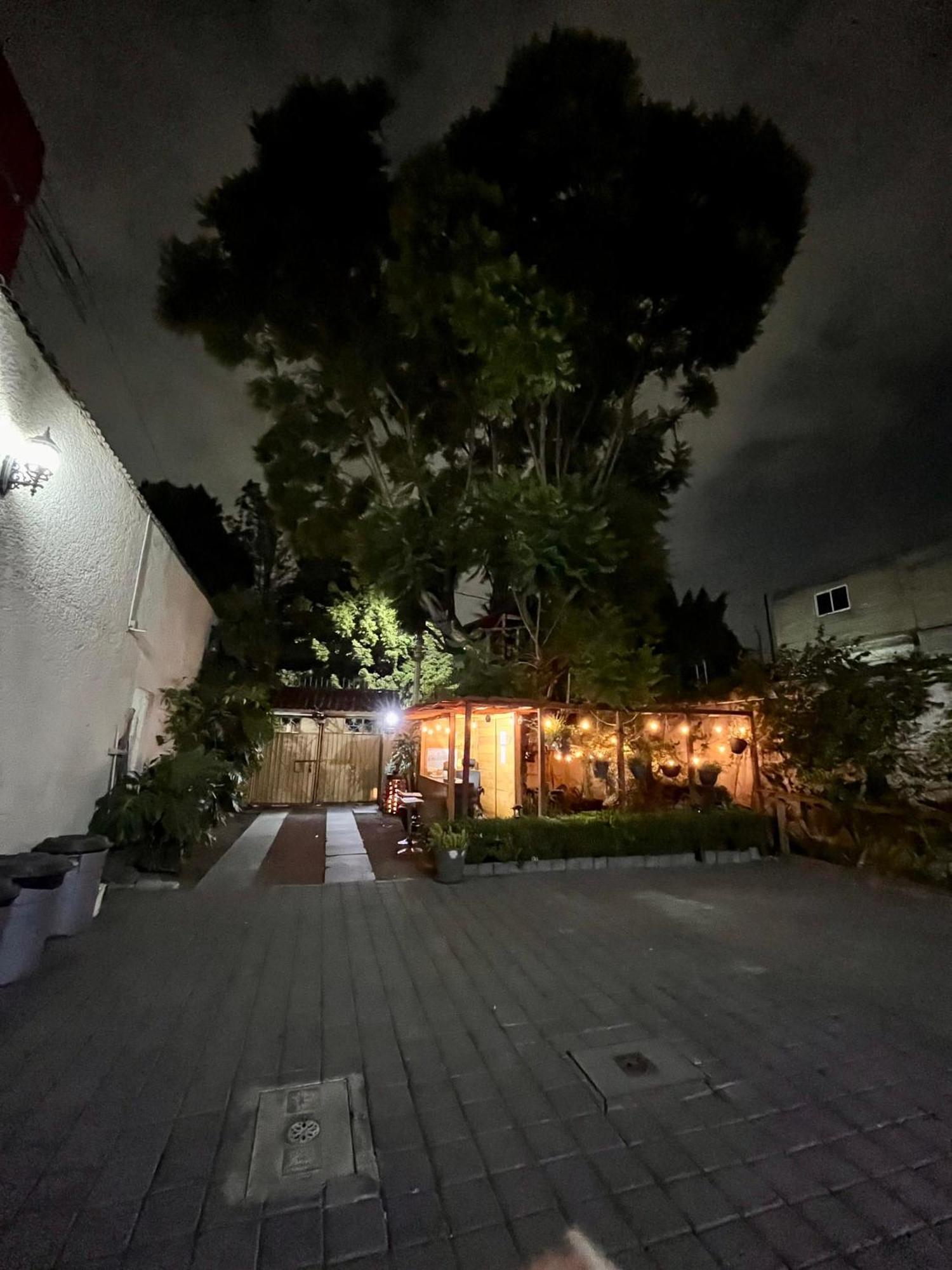 Appartement Casita Del Arbol à Mexico Extérieur photo