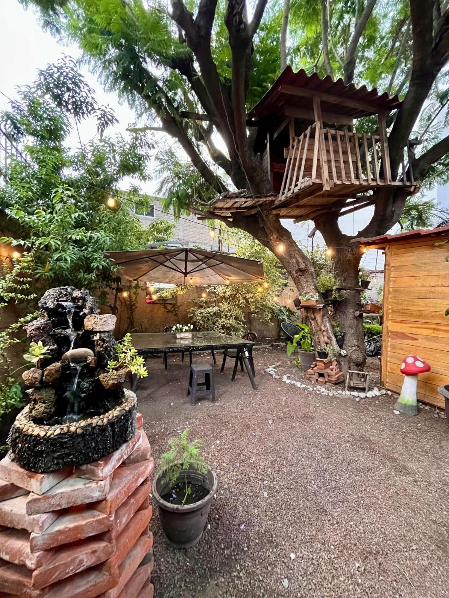 Appartement Casita Del Arbol à Mexico Extérieur photo