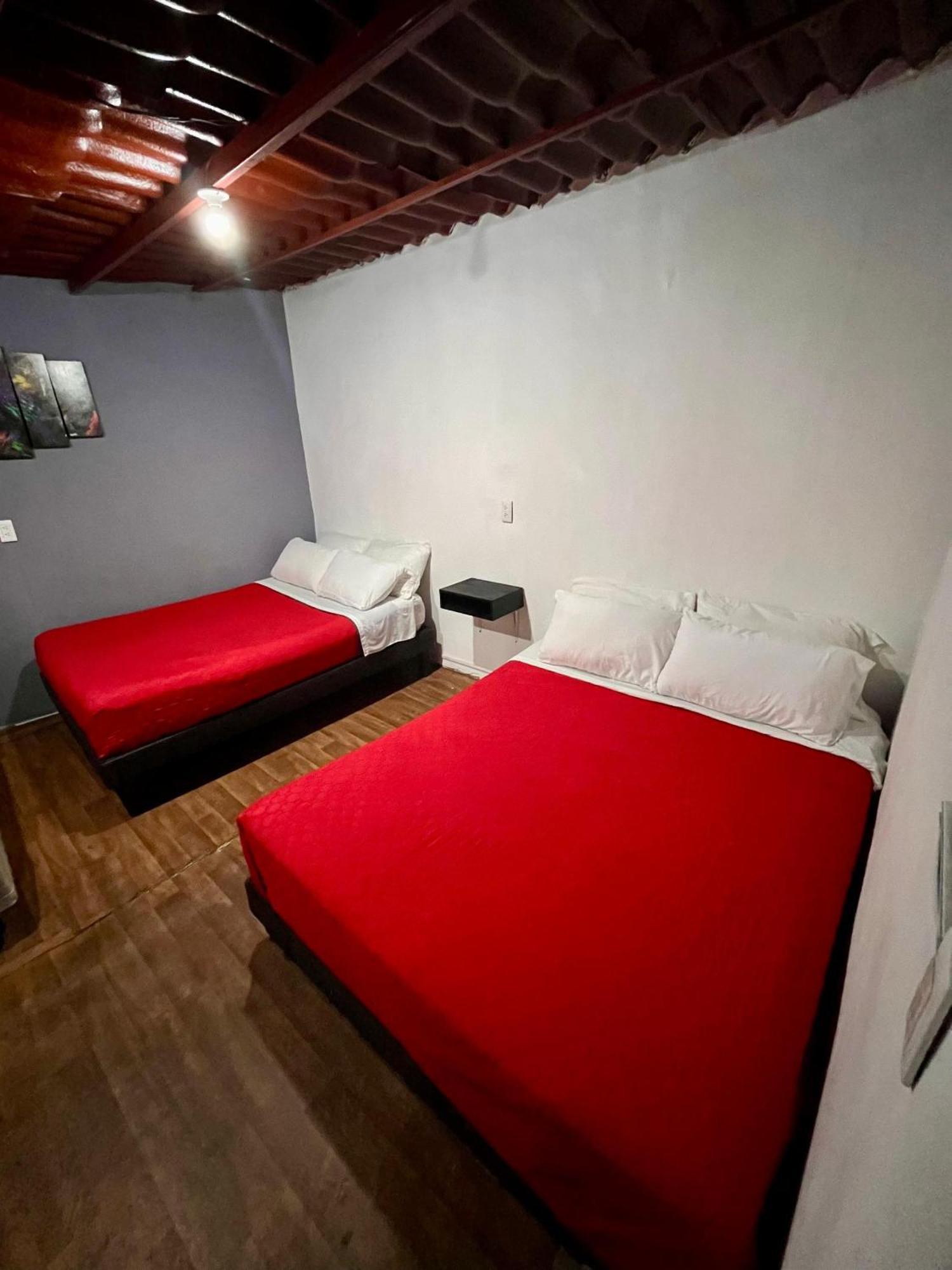 Appartement Casita Del Arbol à Mexico Extérieur photo