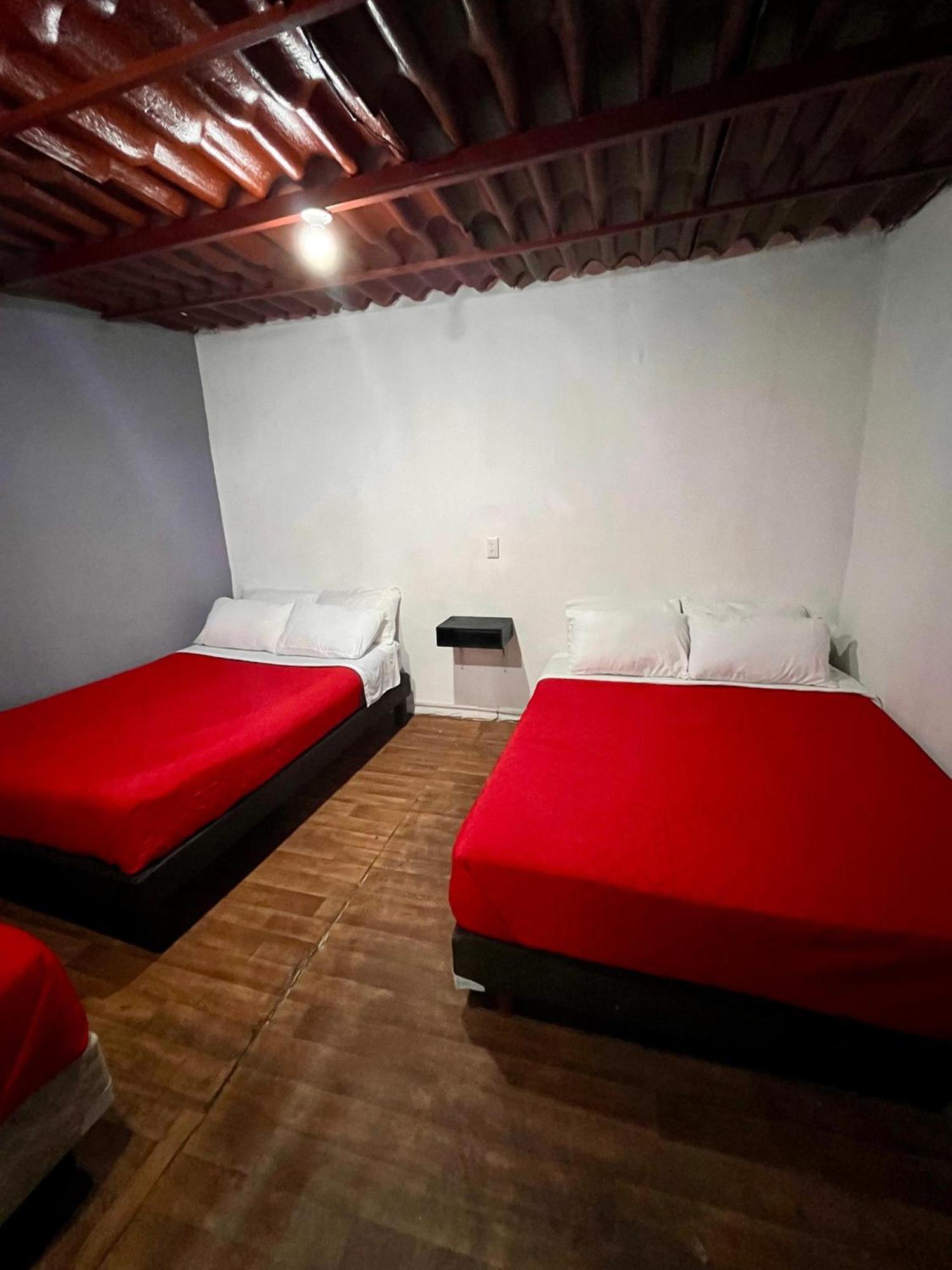 Appartement Casita Del Arbol à Mexico Extérieur photo
