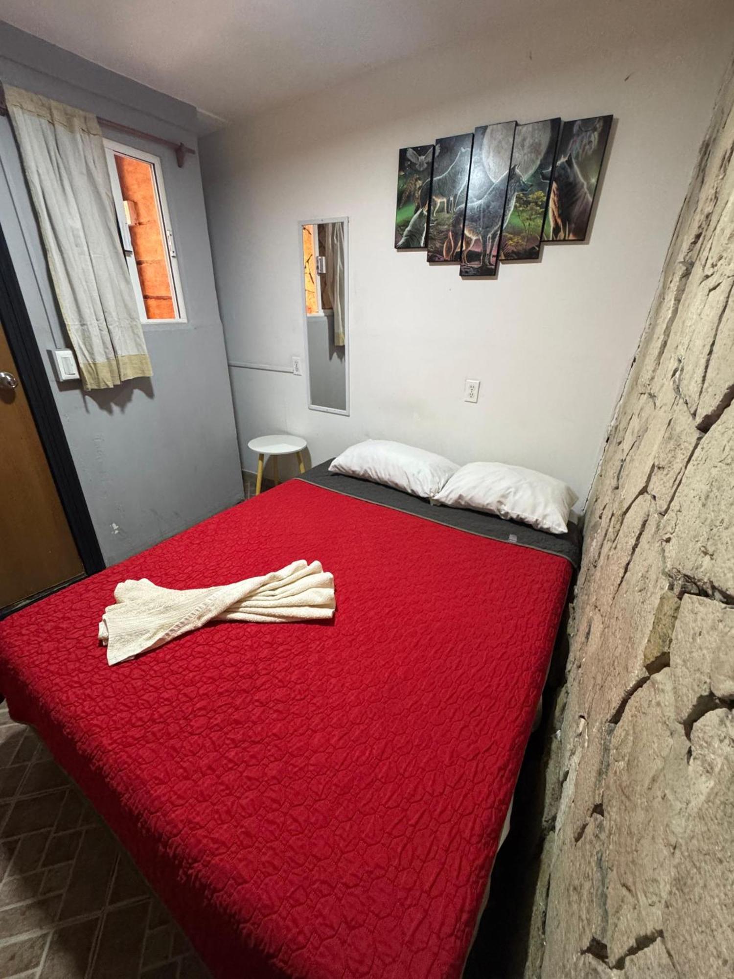 Appartement Casita Del Arbol à Mexico Extérieur photo