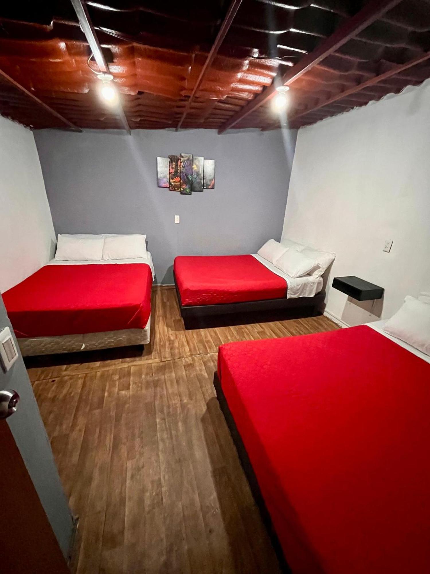 Appartement Casita Del Arbol à Mexico Extérieur photo