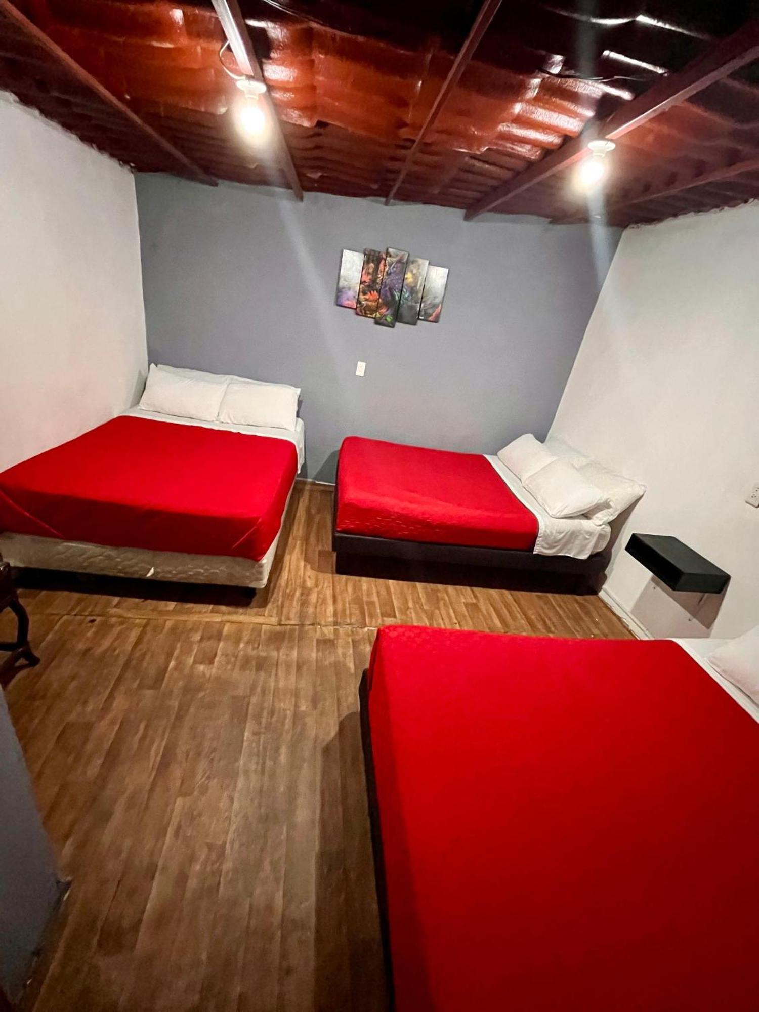 Appartement Casita Del Arbol à Mexico Extérieur photo