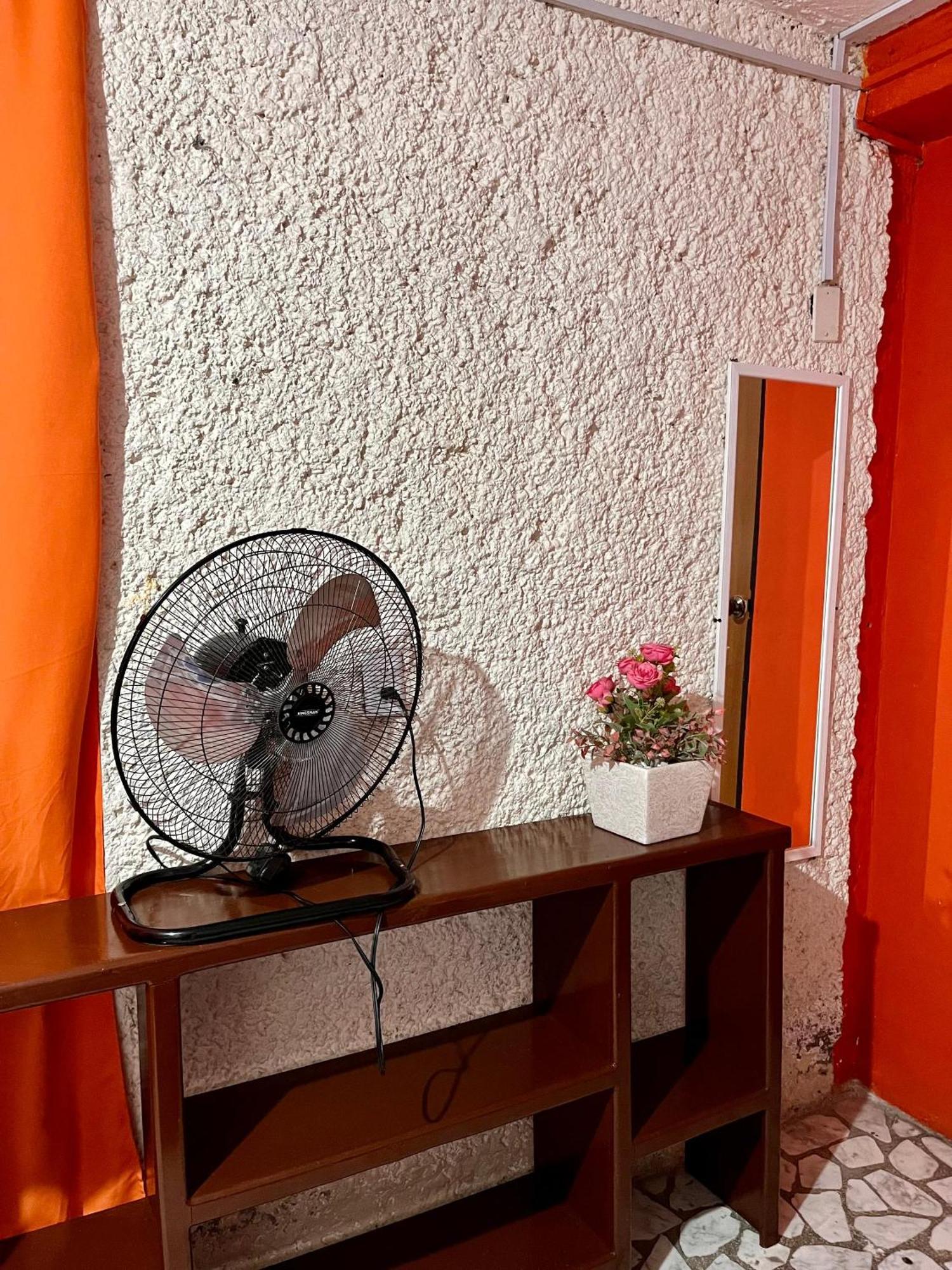Appartement Casita Del Arbol à Mexico Extérieur photo