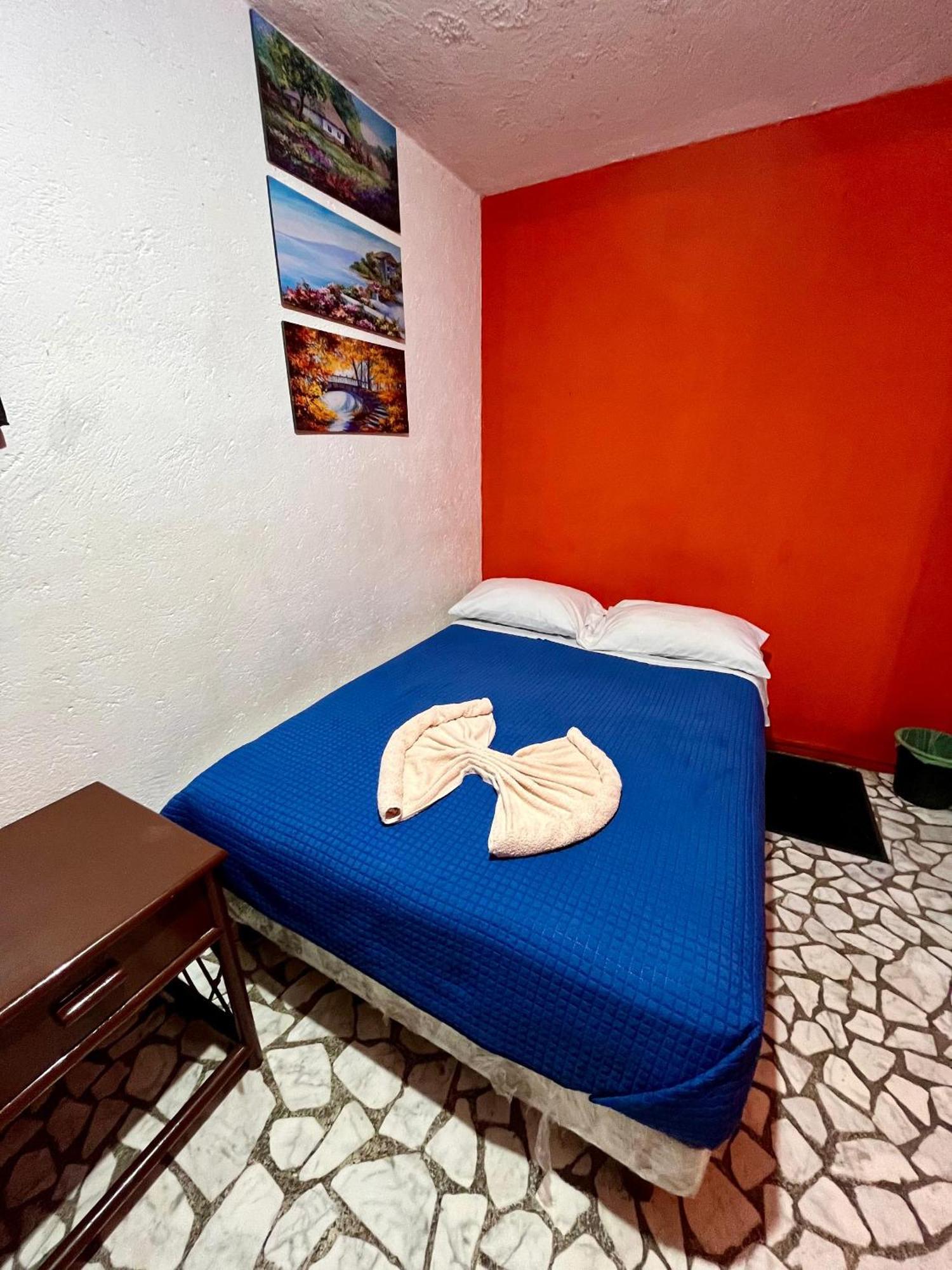 Appartement Casita Del Arbol à Mexico Extérieur photo