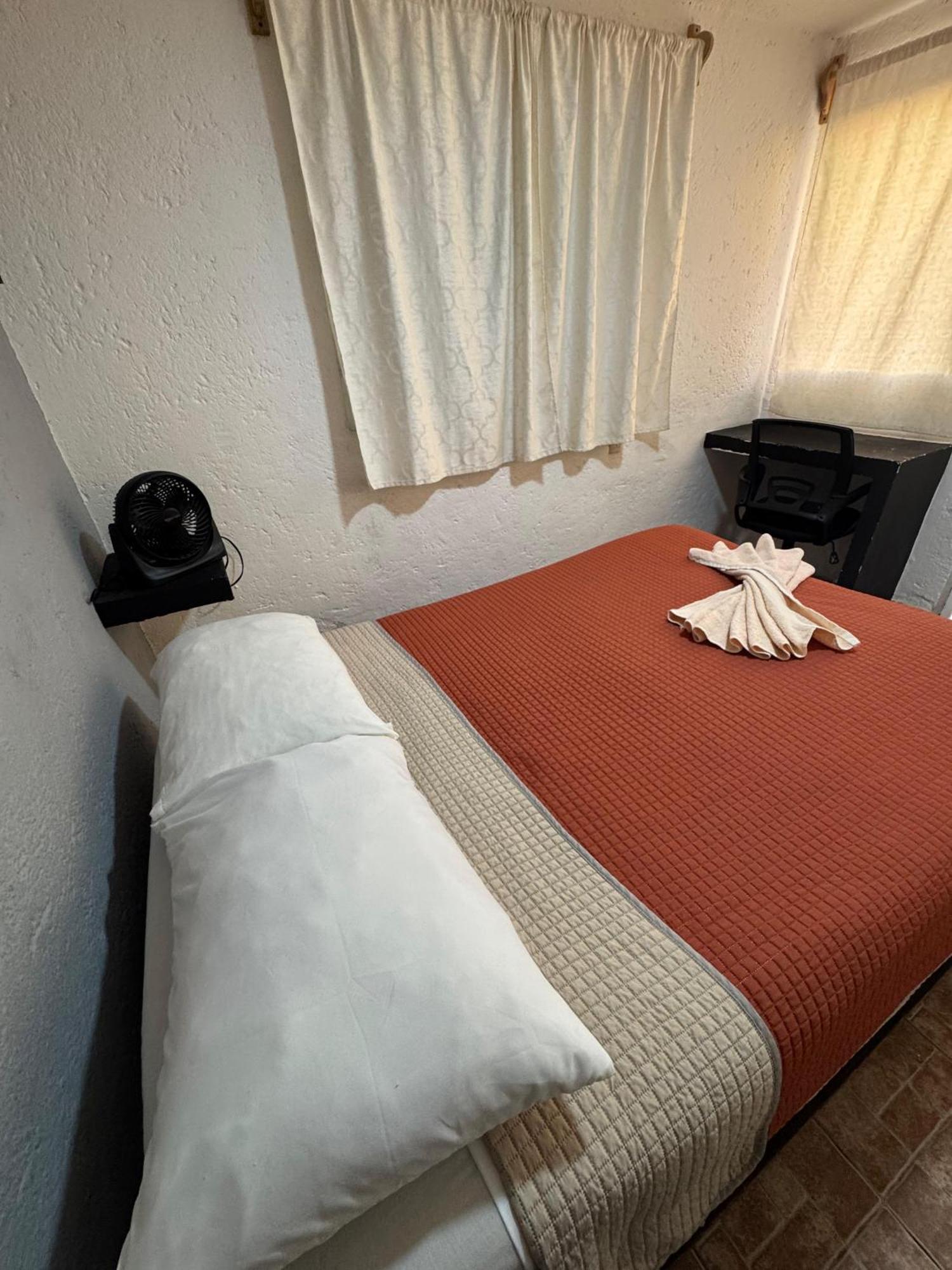 Appartement Casita Del Arbol à Mexico Extérieur photo